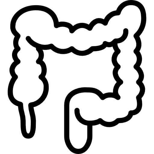 liver