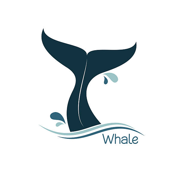 whale