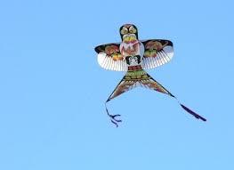 风筝代表图