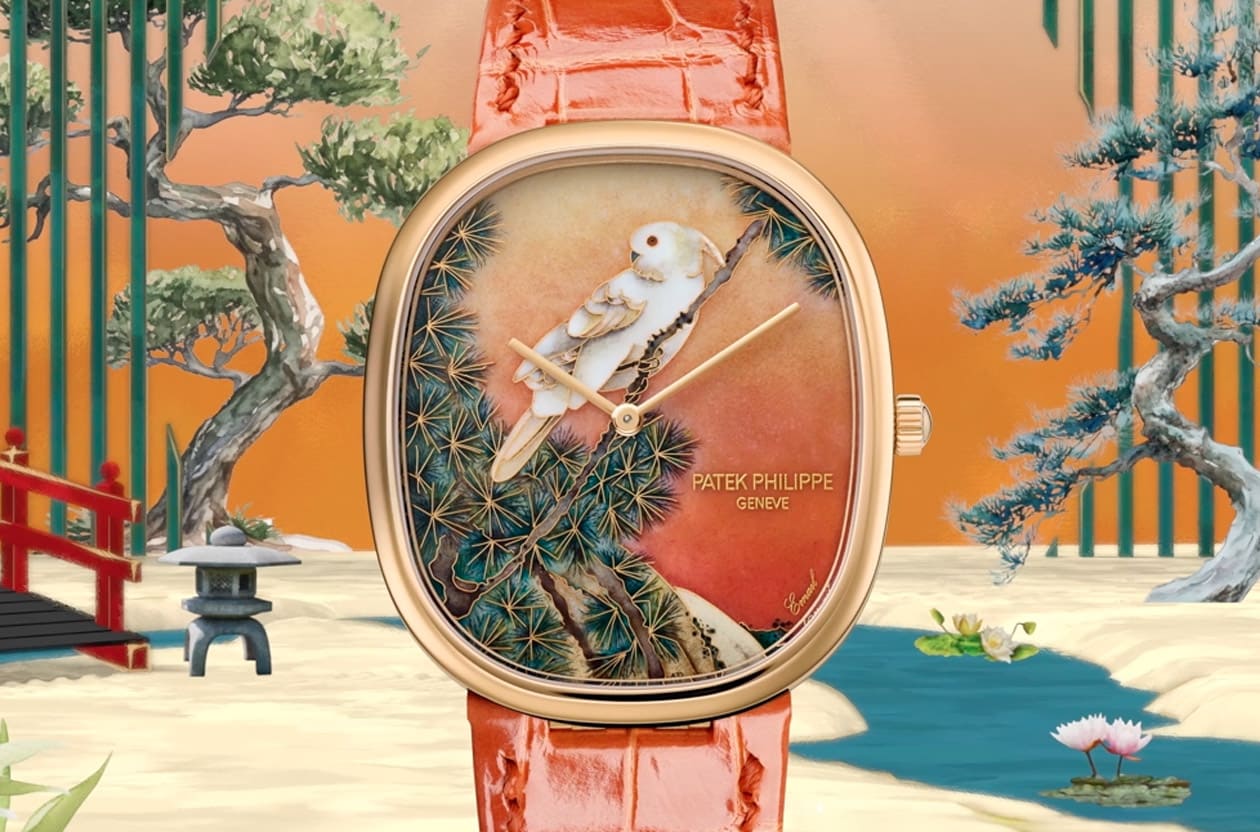 黄冠凤头鹦鹉腕表