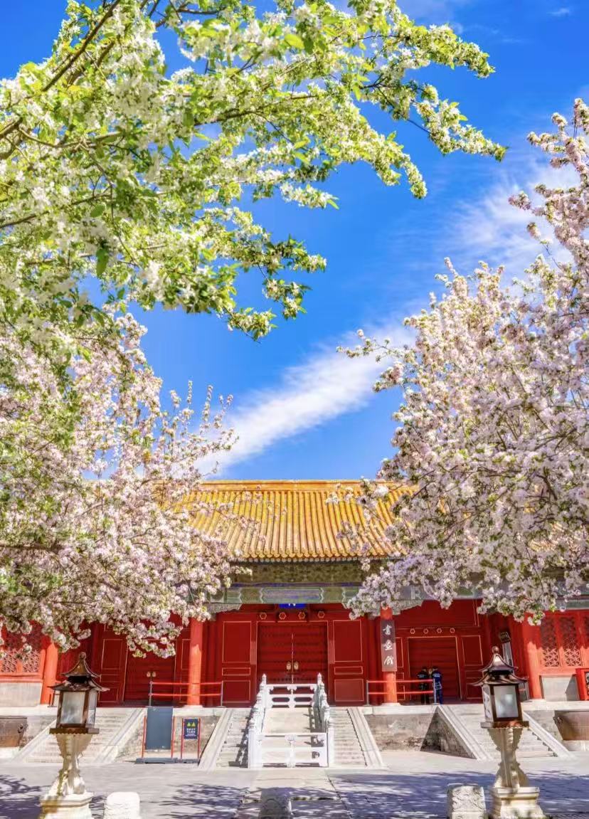 故宫春景