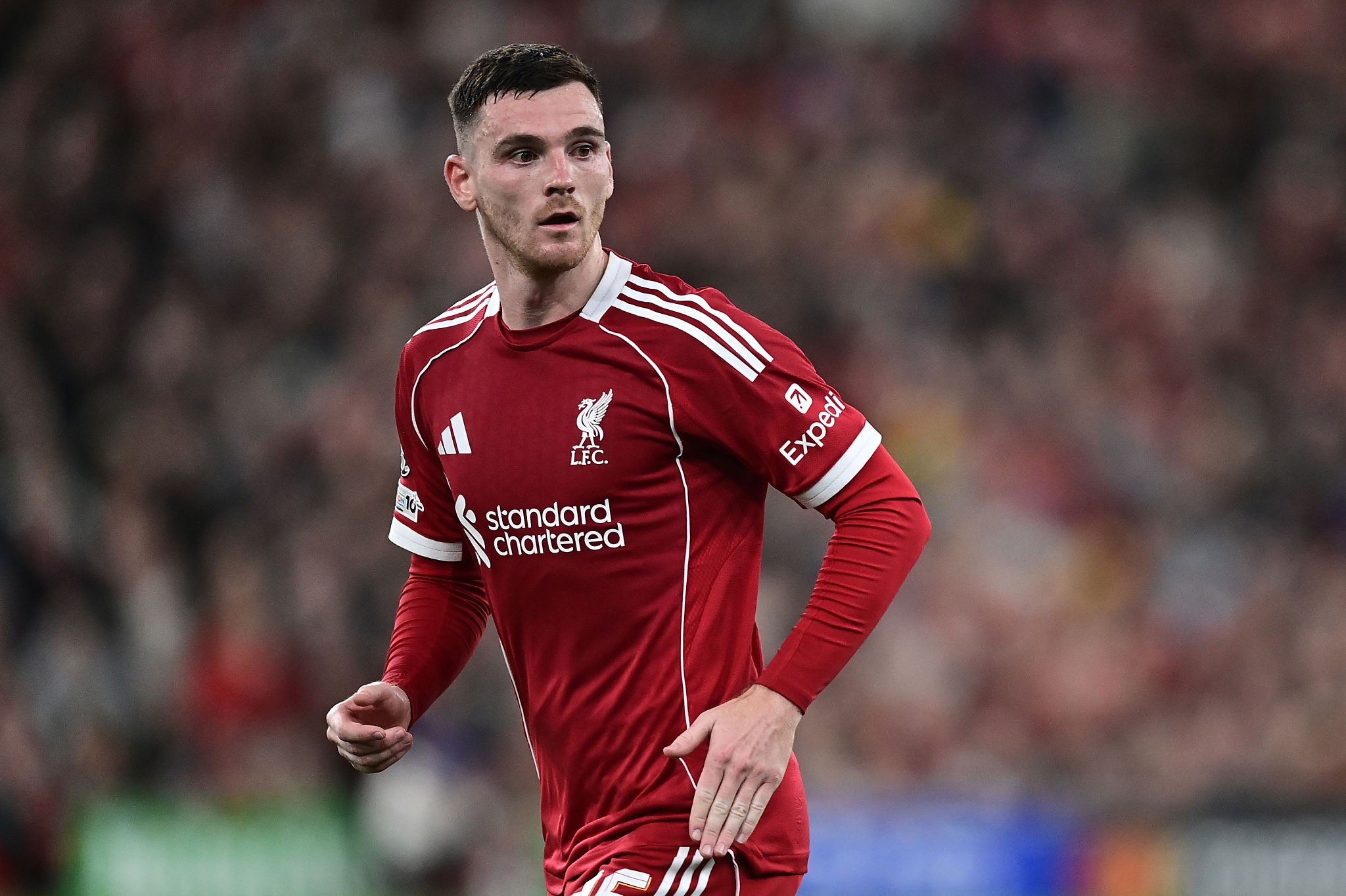 安德鲁·罗伯逊