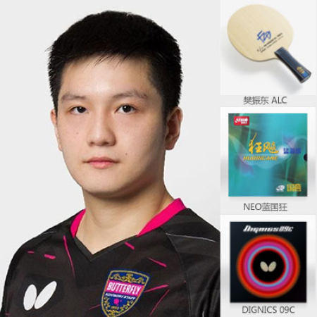 樊振东器材照片